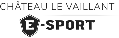 Cours-diderot-formations-superieures-bts-bachelor-master-lille-paris-toulouse-lyon-montpellier-marseille-aix-en-provence-nice-logo-chateau-le-vaillant-e-sport-diderot-boarding-school-internats