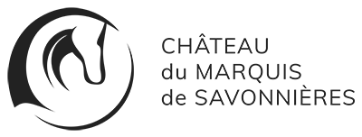 Cours-diderot-formations-superieures-bts-bachelor-master-lille-paris-toulouse-lyon-montpellier-marseille-aix-en-provence-nice-logo-chateau-du-marquis-de-savonnieres-sports-equestres-diderot-boarding-school-internats