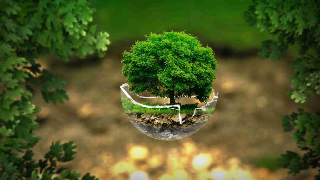 rejoignez le Cours Diderot - écologie
