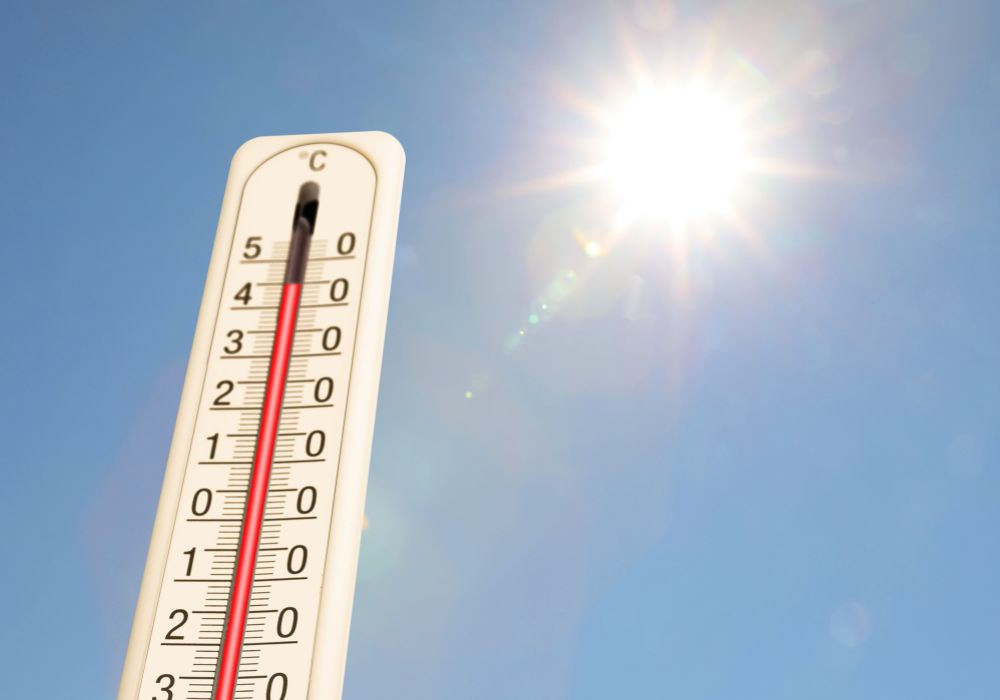 métiers canicule cd